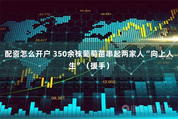 配资怎么开户 350余株葡萄苗串起两家人“向上人生”（援手）